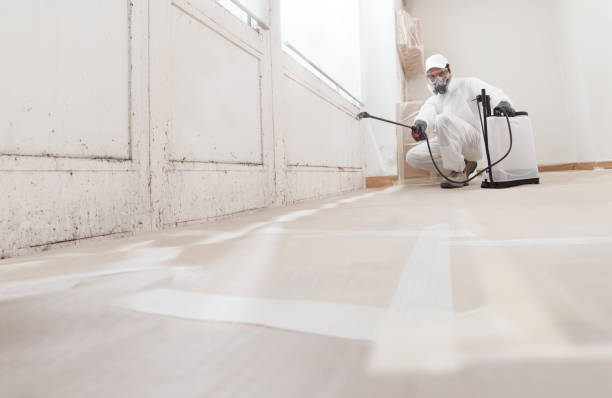 24/7 Emergency Mold Remediation experts in North Babylon, NY